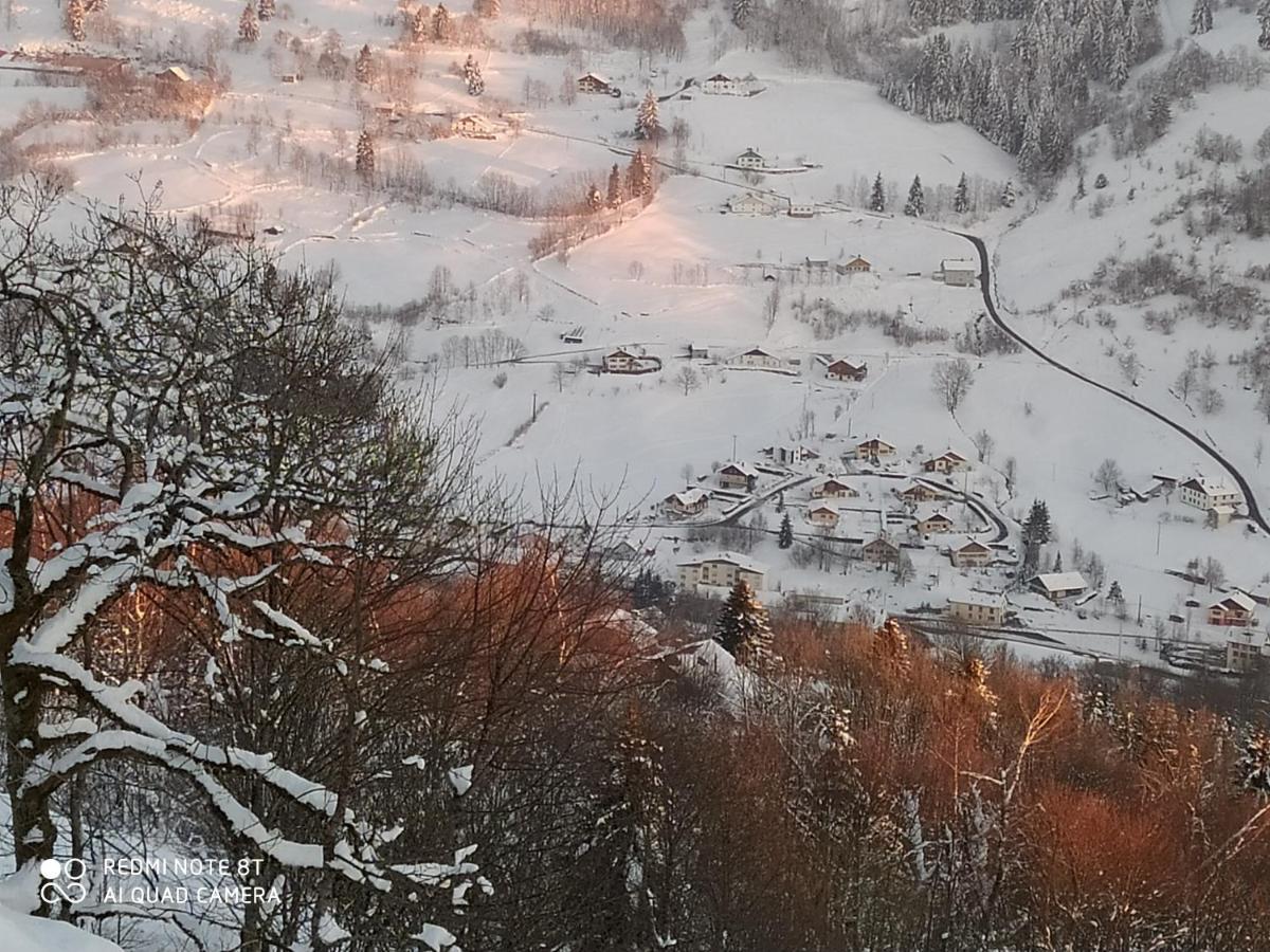 Appartement Maison Vosgienne La Bresse Centre Εξωτερικό φωτογραφία